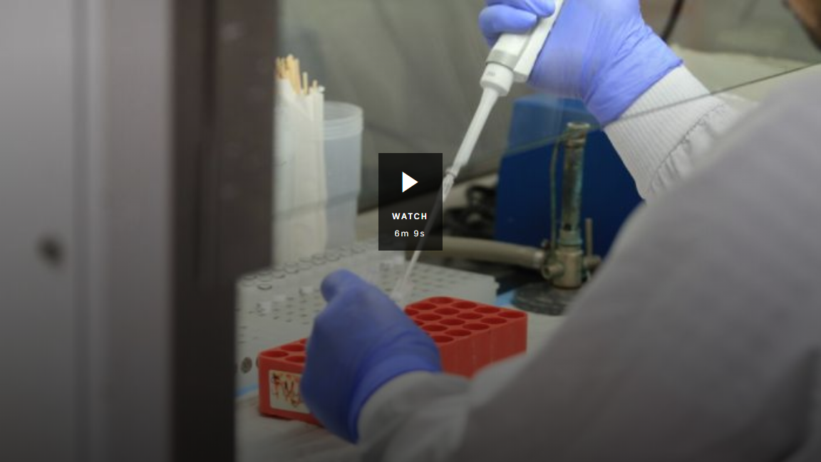 Cover image for 7.30 report video "Questions over some coronavirus tests"