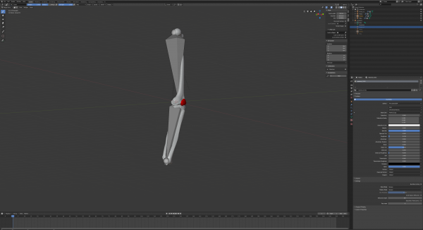 Image depicting a knee in the modelling software Blender