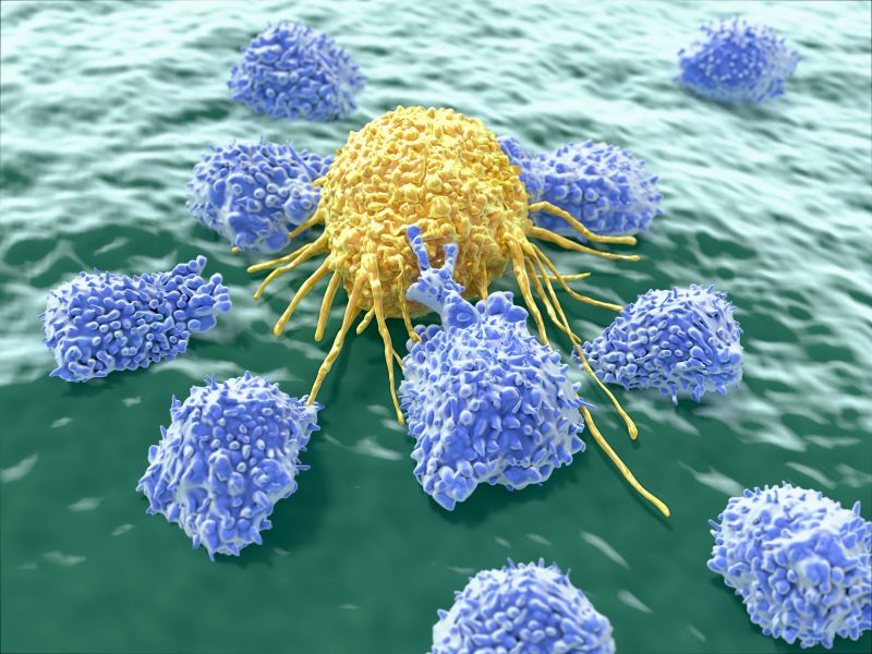 Illustration of natural killer cells attacking a cancer cell