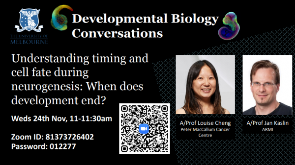 Developmental Biology Conversations: A/Prof Louise Cheng (Peter MacCallum Cancer Centre) & A/Prof Jan Kaslin (ARMI) Thumbnail