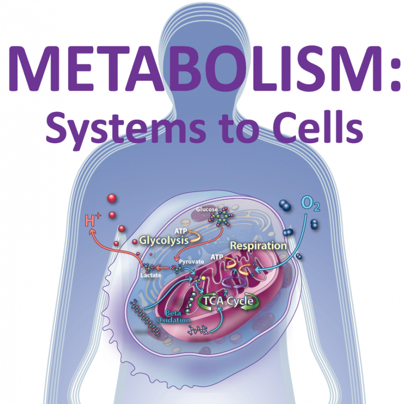 Image for Metabolism: Systems to Cells Symposium