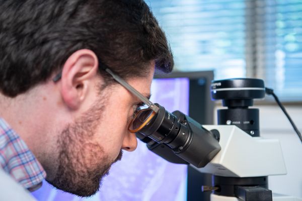 A researcher using an optical microscope