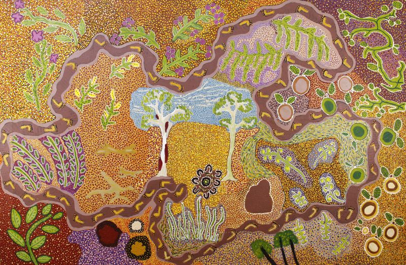 Bush Medicine