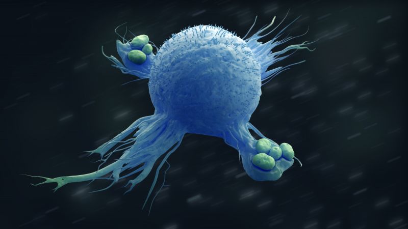 Illustration of a macrophage engulfing bacteria.