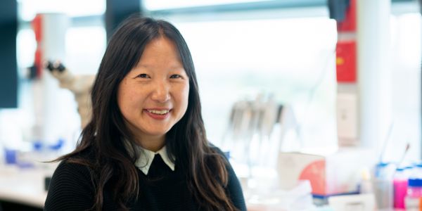 Cheng laboratory: Stem cell and organ size control regulation