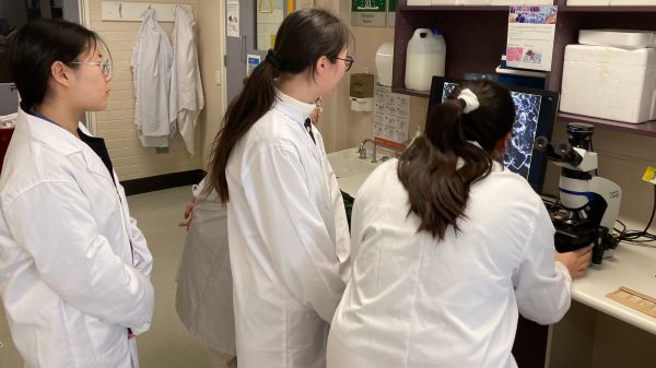 4 students in white laboratory coats in the Melbourne Histology Platform.