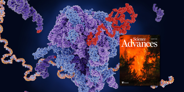 microscopic image of RNA with journal cover floating on top of image