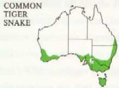 distribution map of common brown snake