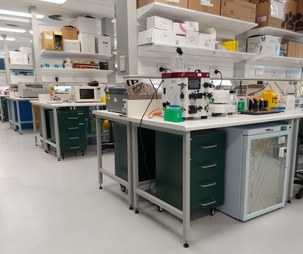 Our lab space in the Medical building