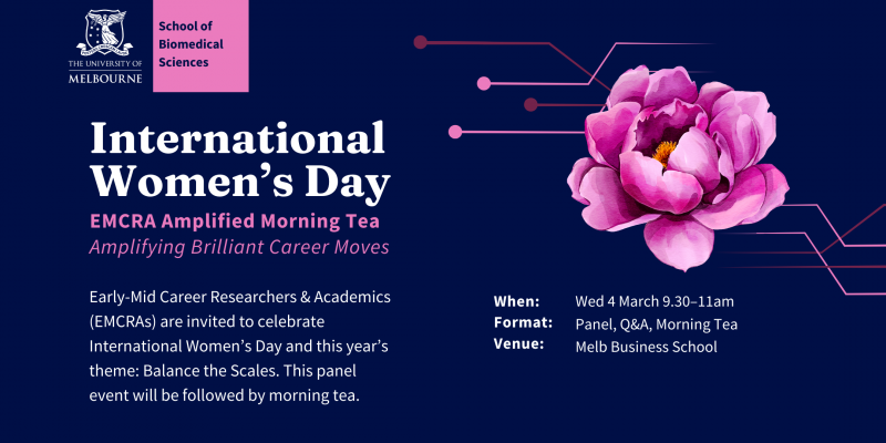 International womens day information panel