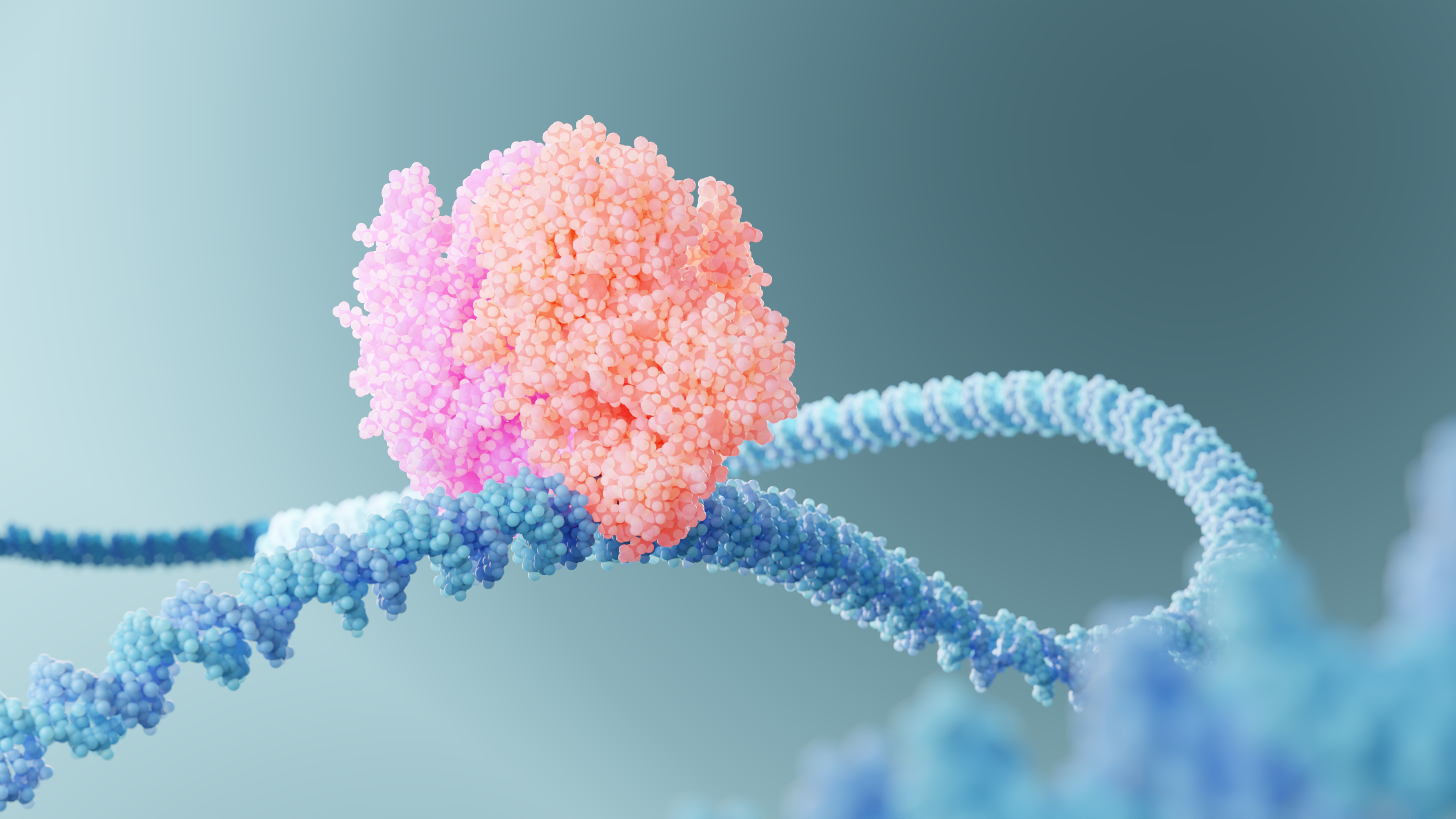 Shakeel laboratory: Structural genome regulation