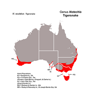 Distribution map of Tiger Snakes
